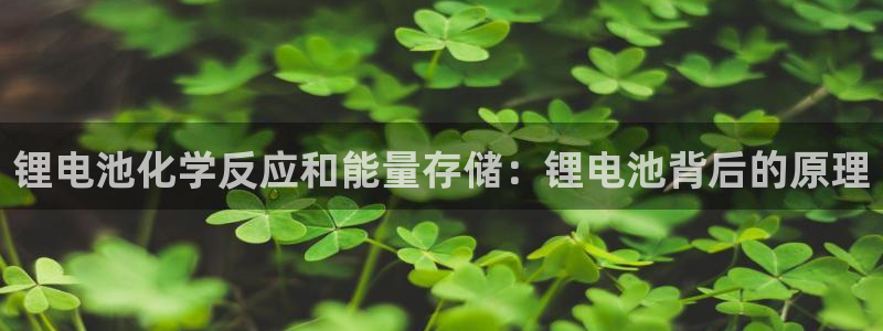 尊龙人生就是博登录网址下载：锂电池化学反应和能量存储：锂电池背后的原理