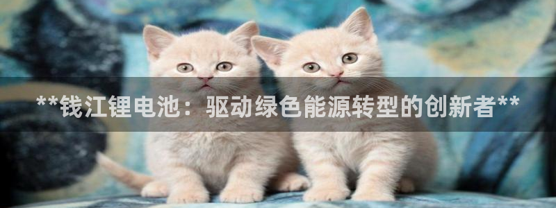 尊龙凯时官网网页版：**钱江锂电池：驱动绿色能源转型的创新者**