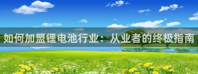 尊龙ag旗舰厅官网官方入口：如何加盟锂电池行业：从业者的终极指南