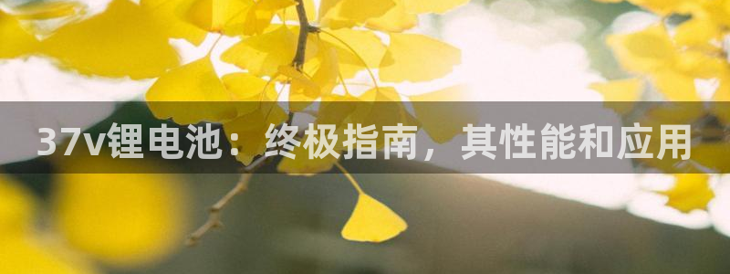 尊龙eight is enough：37v锂电池：终极指南，其性能和应用