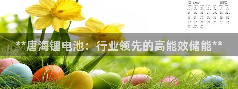 尊龙人生就是博D88：**唐海锂电池：行业领先的高能效储能**