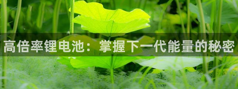 尊龙d88平台版下载：高倍率锂电池：掌握下一代能量的秘密