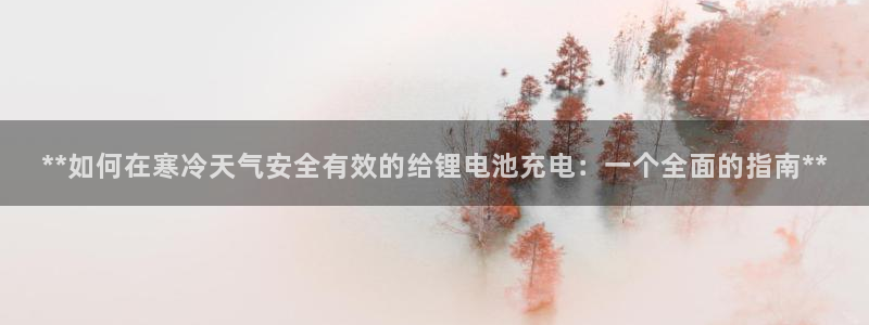 凯时平台登录：**如何在寒冷天气安全有效的给锂电池充电：一个全面的指南**