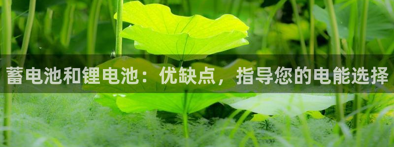 尊龙负面新闻