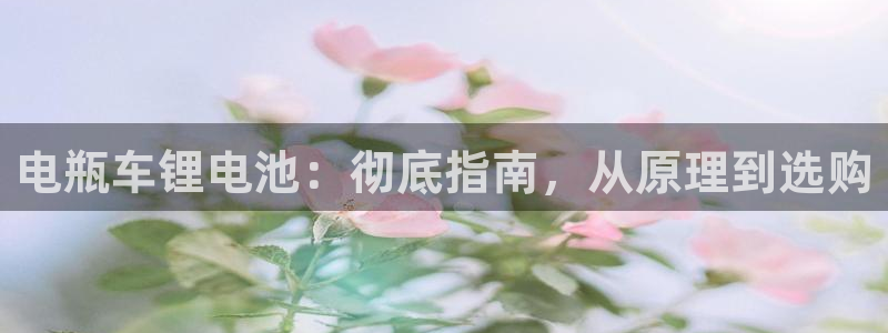 尊龙人生就是博官方官网