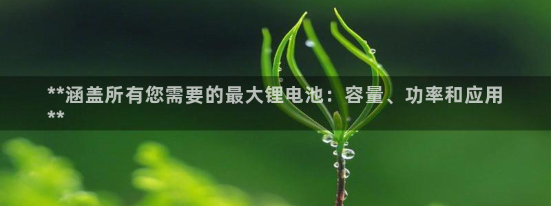 尊龙2020