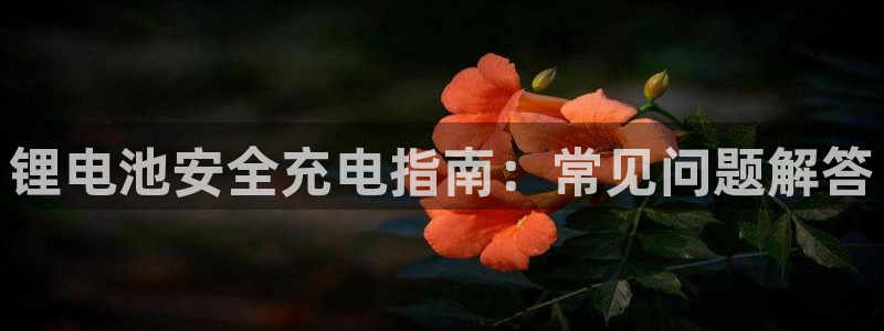 尊龙凯时 人生就是搏：锂电池安全充电指南：常见问题解答