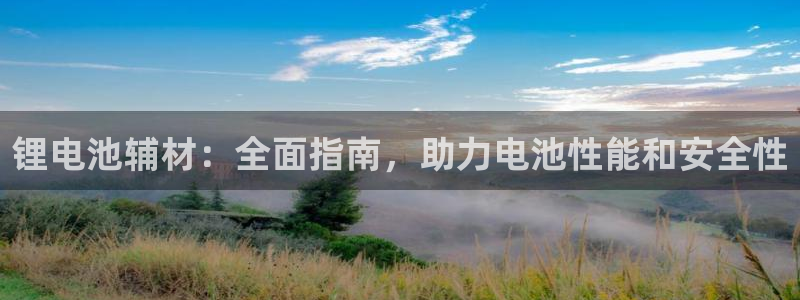 尊龙d88皆选ag发财网：锂电池辅材：全面指南，助力电池性能和安全性