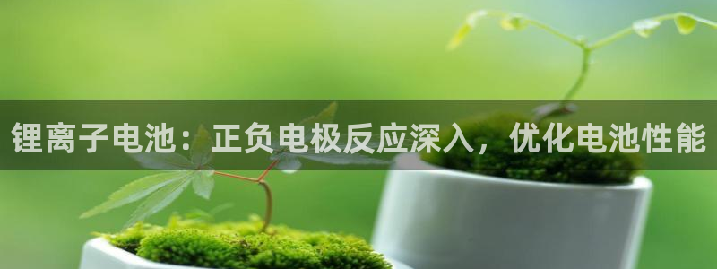 尊龙Ag