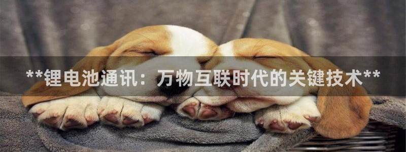 凯时最新官方APP下载