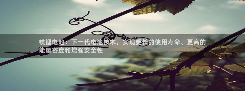 尊龙凯时集团：镁锂电池：下一代电池技术，实现更长的使用寿命、更高的
能量密度和增强安全性