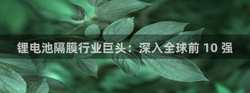 尊龙凯时z6官网：锂电池隔膜行业巨头：深入全球前 10 强