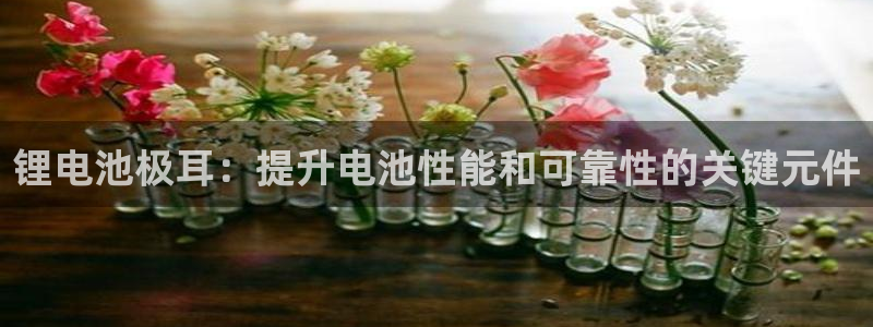 尊龙凯时邀请码
