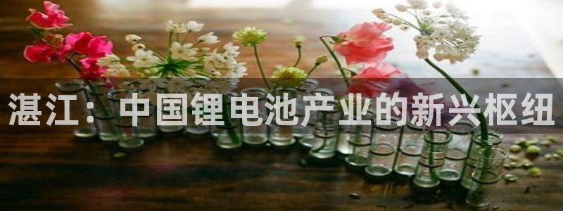 尊龙凯时官网入口