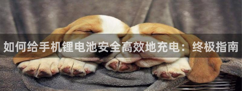 凯时是AG优质运营商