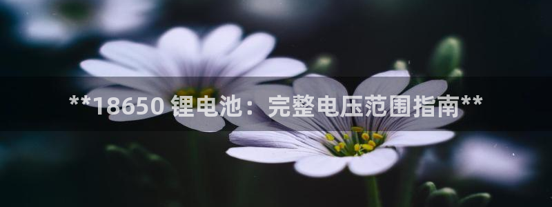 尊龙版末代皇帝：**18650 锂电池：完整电压范围指南**