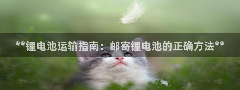 尊龙凯时平台还是万搏好