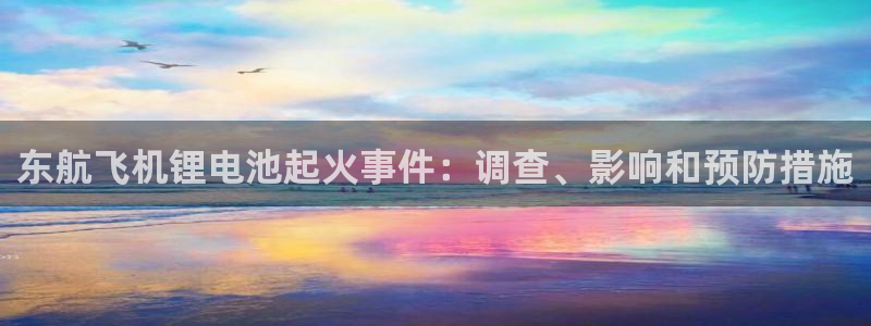 尊龙凯时人生就博官网：东航飞机锂电池起火事件：调查、影响和预防措施