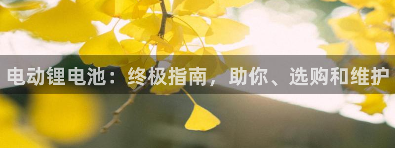 尊龙网页