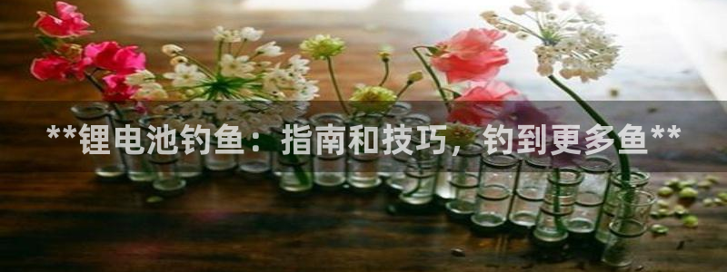 凯时K66最新版本下载：**锂电池钓鱼：指南和技巧，钓到更多鱼**