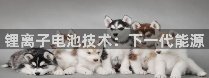 尊龙d88官网登录苹果版下载：锂离子电池技术：下一代能源