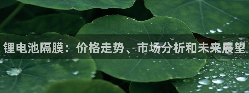 尊龙人生就是博用现金玩一下