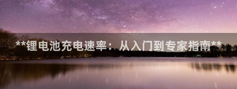 尊龙人生就是博旧版现：**锂电池充电速率：从入门到专家指南**