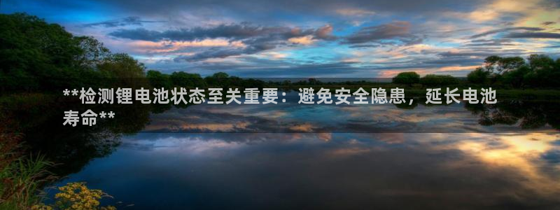 尊龙凯时不给提现怎么办：**检测锂电池状态至关重要：避免安全隐患，延长电池
寿命**