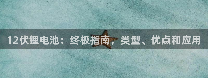尊龙游戏官方网：12伏锂电池：终极指南，类型、优点和应用