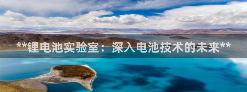 尊龙凯时ag旗舰厅：**锂电池实验室：深入电池技术的未来**