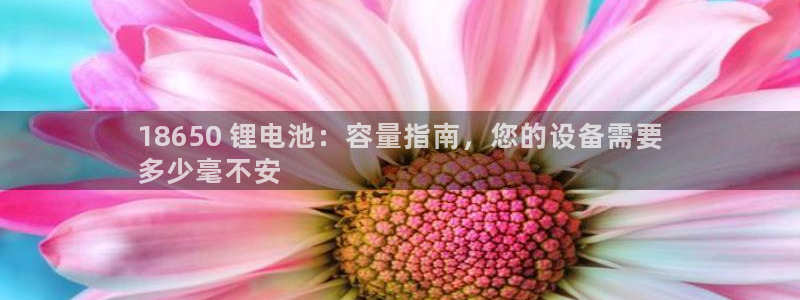 尊龙ag旗舰：18650 锂电池：容量指南，您的设备需要
多少毫不安