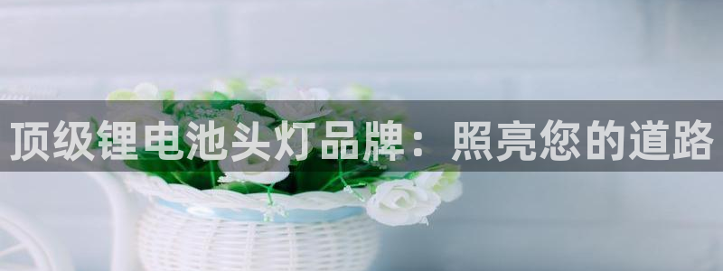 尊龙专访：顶级锂电池头灯品牌：照亮您的道路