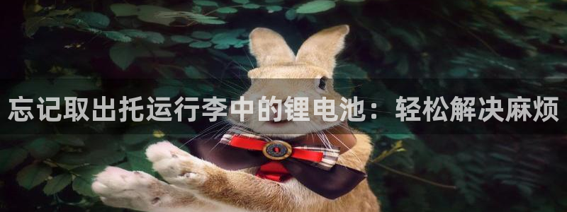 凯时尊龙app国际官方网站：忘记取出托运行李中的锂电池：轻松解决麻烦