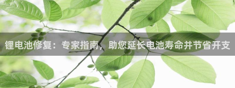 尊龙凯时电竞：锂电池修复：专家指南，助您