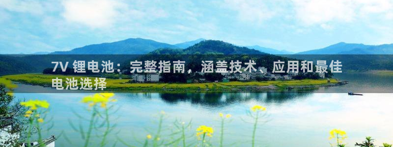 尊龙app怎么样：7V 锂电池：完整指南，涵盖技术、应用和最佳
电池选择