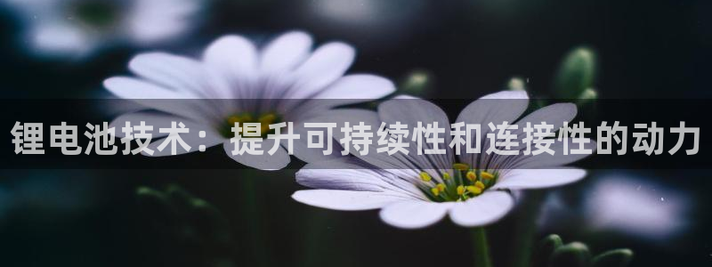 尊龙凯时老板：锂电池技术：提升可持续性和连接性的动力