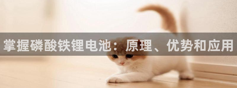 凯时游戏官方网站：掌握磷酸铁锂电池：原理