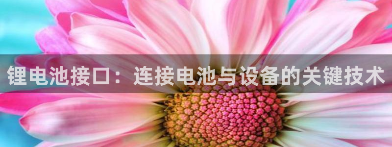 凯时首页地址：锂电池接口：连接电池与设备的关键技术
