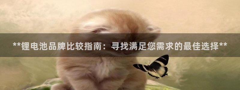 尊龙凯时账号异常审核提不了款怎么办：**锂电池品牌比较指南：寻找满足您需求的最佳选择**