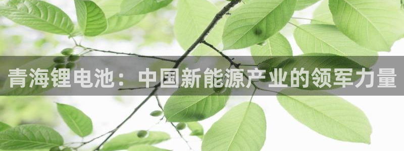 尊龙凯时旗舰厅百家乐下载：青海锂电池：中国新能源产业的领军力量