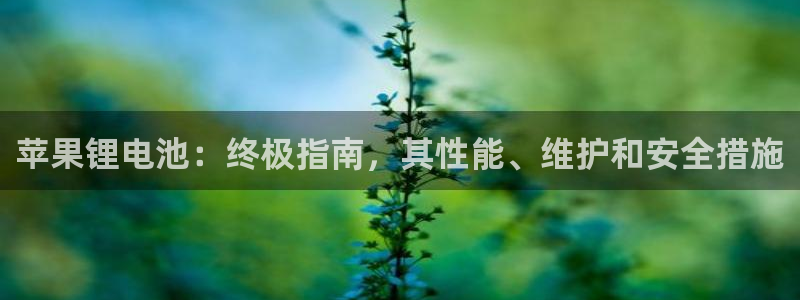 尊龙凯时的企业文化